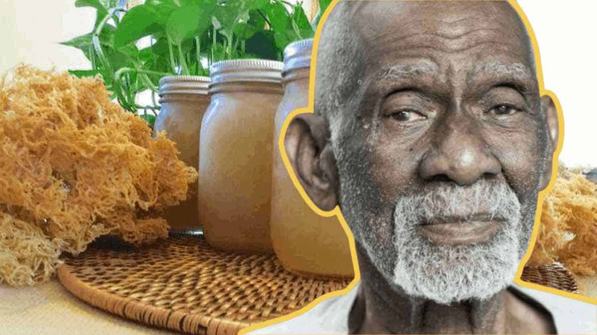 Image of one of the most popular brand, Dr. Sebi Sea Moss